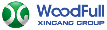 Shandong Xingang Group 